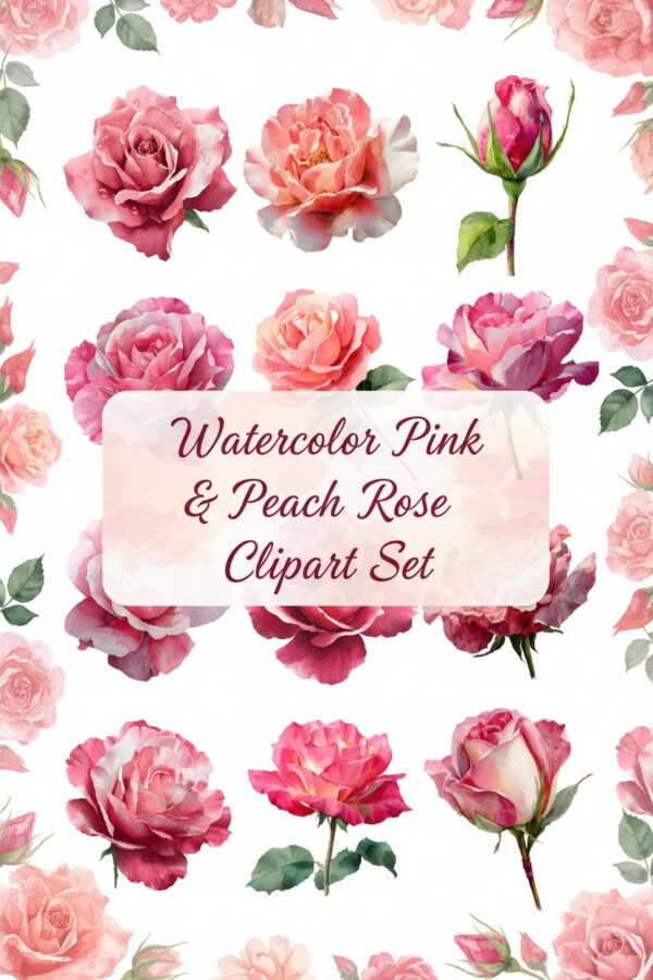 Pink and Peach Rose Clipart Set - Delicate Floral Elements Pink and Peach Rose Watercolor Clip Art Set - rose, pink, peach
