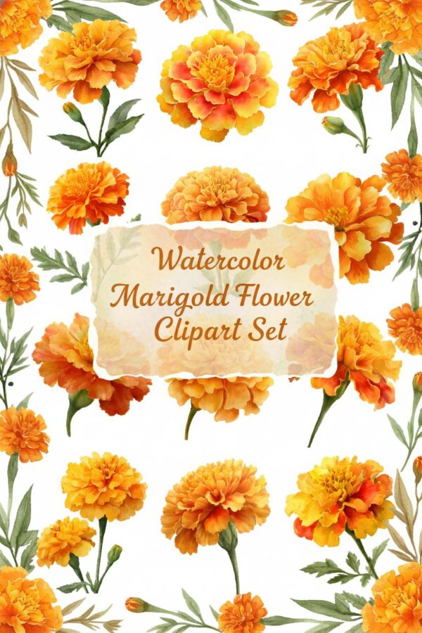 Vibrant Watercolor Marigold Flower Clipart Set Vibrant Watercolor Marigold Flower Clipart Set - marigold, flower, floral