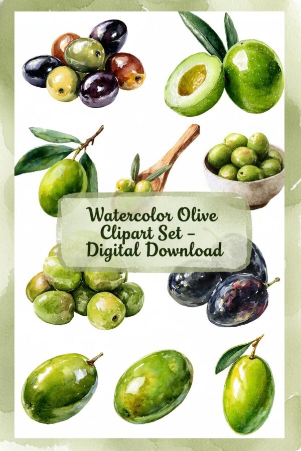 Vibrant Watercolor Olive Clipart Set Beautiful Watercolor Olive Clipart Set - High Quality Fruit Graphics - olive, olives, fruit